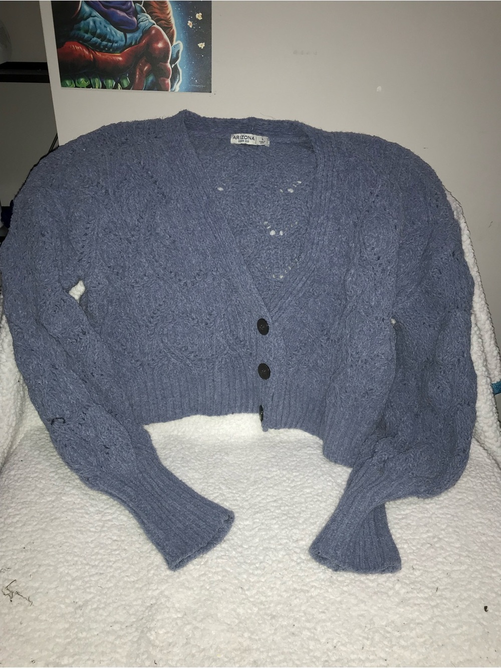 Arizona Jean Company Cropped Cable Knit Cardigan in Dusty Blue